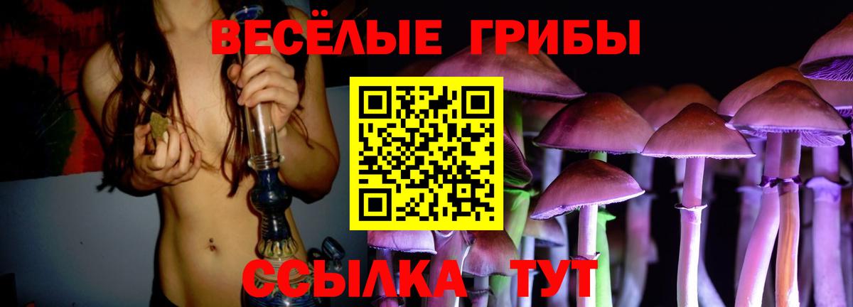 Псилоцибиновые грибы Magic Shrooms Барнаул