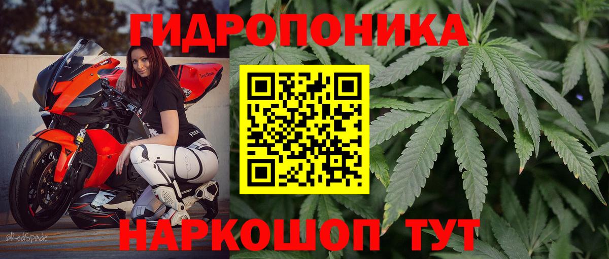 Конопля Amnesia  Вход с VPN  Канабис гибрид  Барнаул  Каннабис AK-47 
